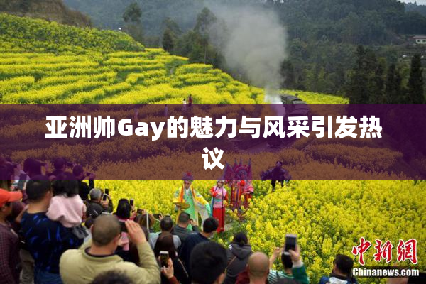亚洲帅Gay的魅力与风采引发热议