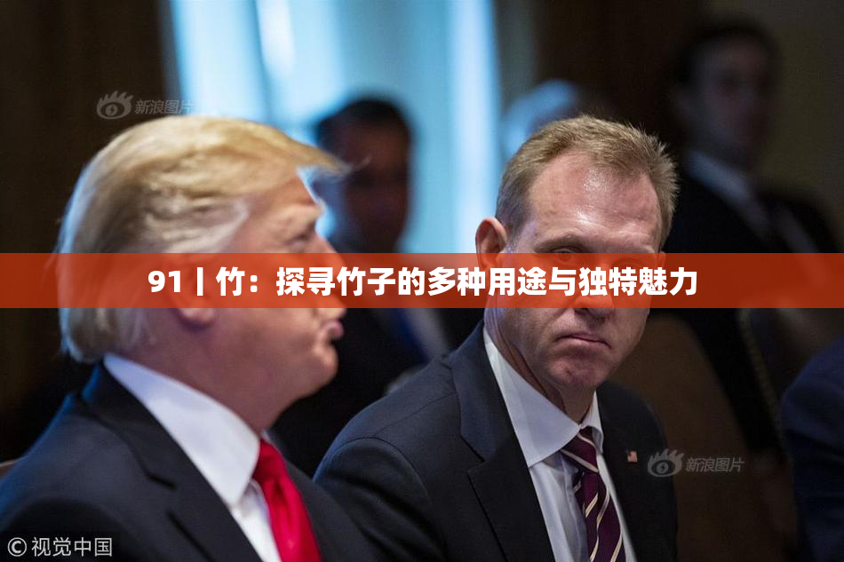 91丨竹：探寻竹子的多种用途与独特魅力