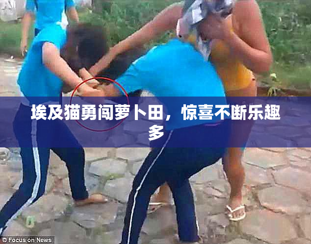 埃及猫勇闯萝卜田，惊喜不断乐趣多