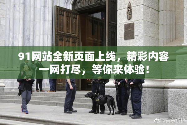 91网站全新页面上线，精彩内容一网打尽，等你来体验！