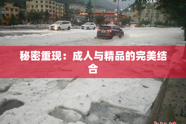 秘密重现：成人与精品的完美结合