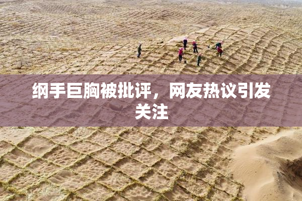 纲手巨胸被批评，网友热议引发关注