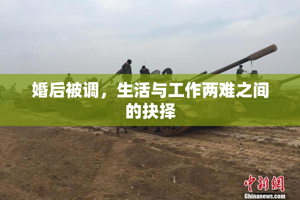 婚后被调，生活与工作两难之间的抉择