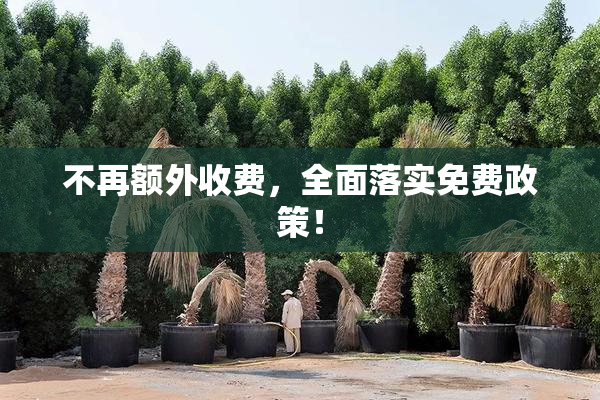 不再额外收费，全面落实免费政策！