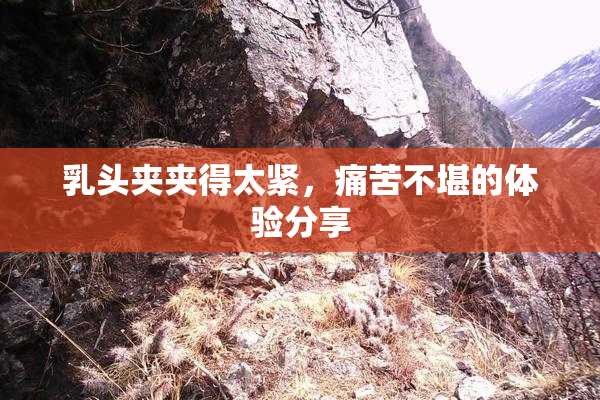 乳头夹夹得太紧，痛苦不堪的体验分享