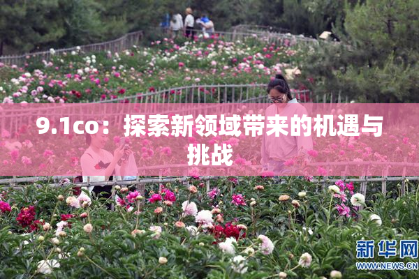 9.1co：探索新领域带来的机遇与挑战