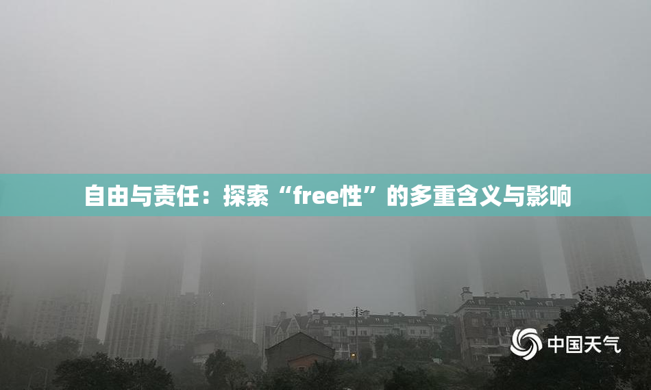 自由与责任：探索“free性”的多重含义与影响