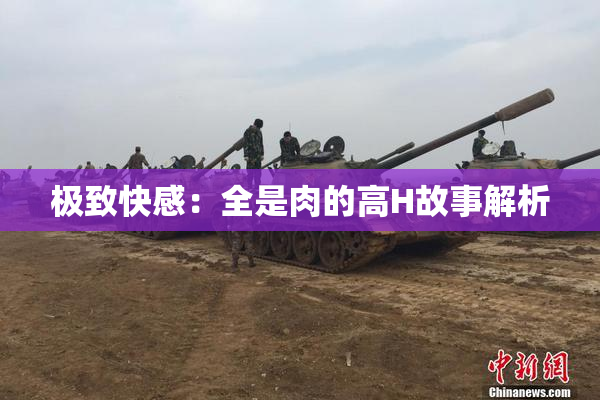 极致快感：全是肉的高H故事解析