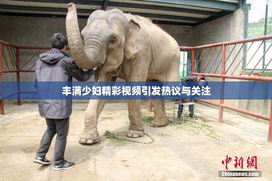 丰满少妇精彩视频引发热议与关注