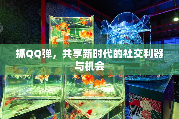 抓QQ弹，共享新时代的社交利器与机会