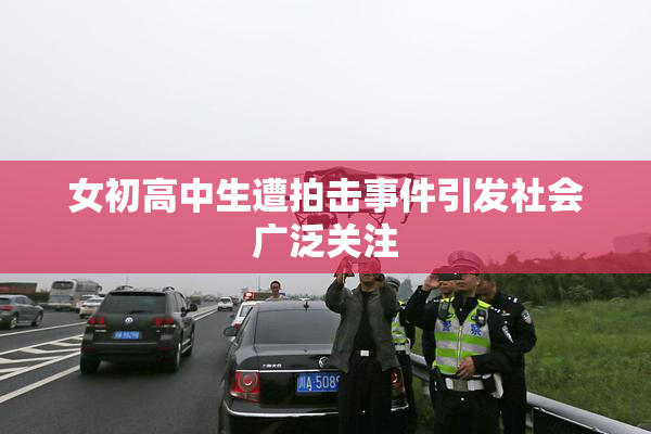 女初高中生遭拍击事件引发社会广泛关注