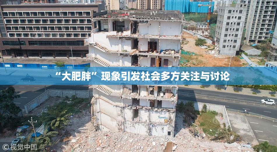 “大肥胖”现象引发社会多方关注与讨论