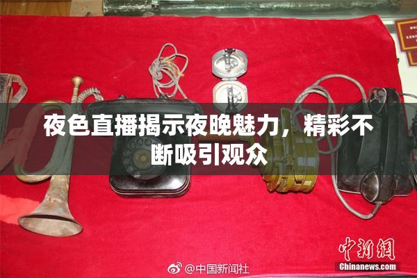 夜色直播揭示夜晚魅力，精彩不断吸引观众