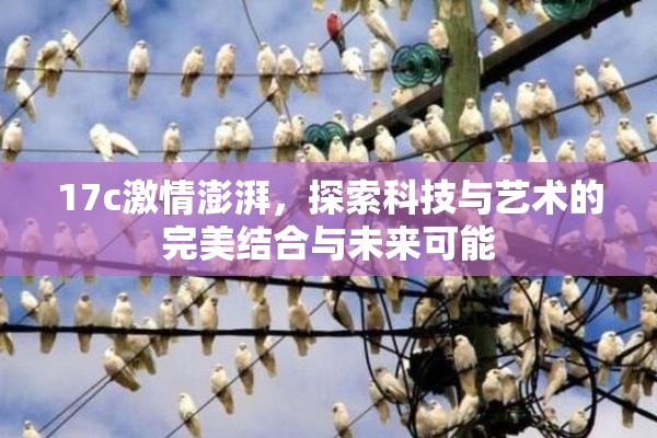 17c激情澎湃，探索科技与艺术的完美结合与未来可能