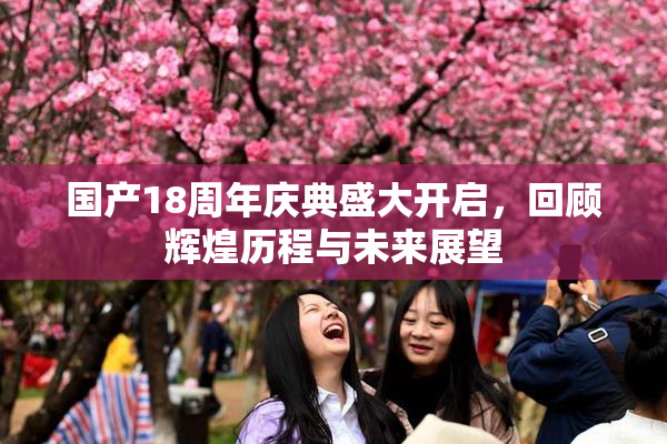 国产18周年庆典盛大开启，回顾辉煌历程与未来展望