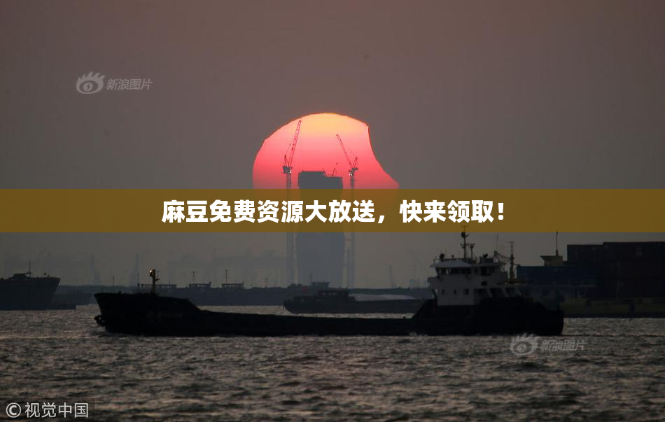 麻豆免费资源大放送，快来领取！
