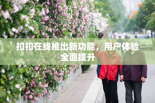 扣扣在线推出新功能，用户体验全面提升