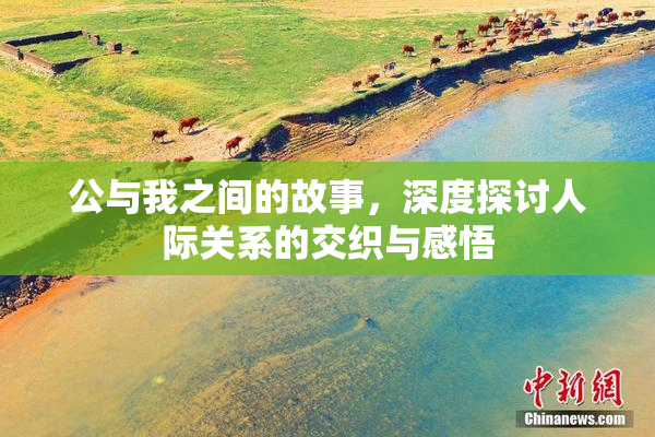 公与我之间的故事，深度探讨人际关系的交织与感悟