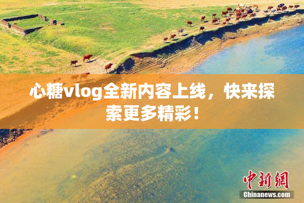 心糖vlog全新内容上线，快来探索更多精彩！