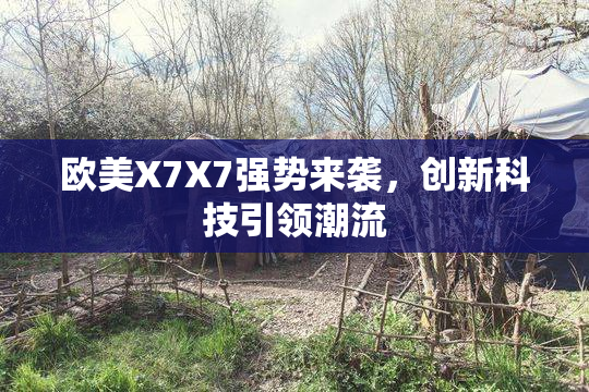 欧美X7X7强势来袭，创新科技引领潮流