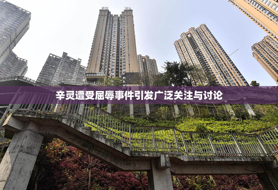 辛灵遭受屈辱事件引发广泛关注与讨论