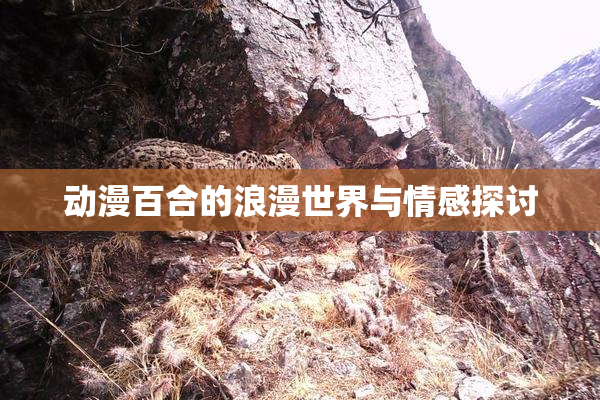 动漫百合的浪漫世界与情感探讨