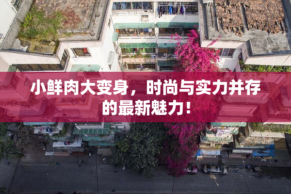 小鲜肉大变身，时尚与实力并存的最新魅力！
