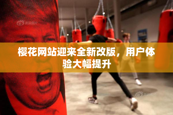 樱花网站迎来全新改版，用户体验大幅提升