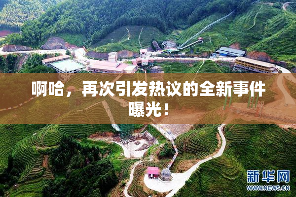啊哈，再次引发热议的全新事件曝光！