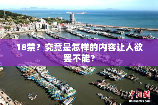 18禁？究竟是怎样的内容让人欲罢不能？
