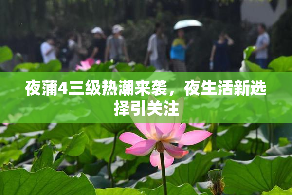 夜蒲4三级热潮来袭，夜生活新选择引关注