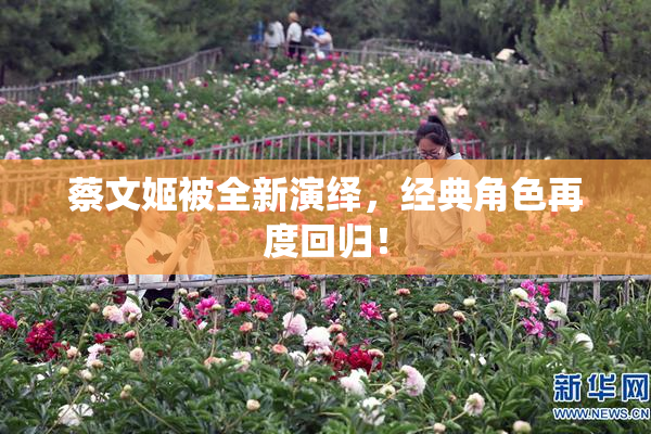 蔡文姬被全新演绎，经典角色再度回归！