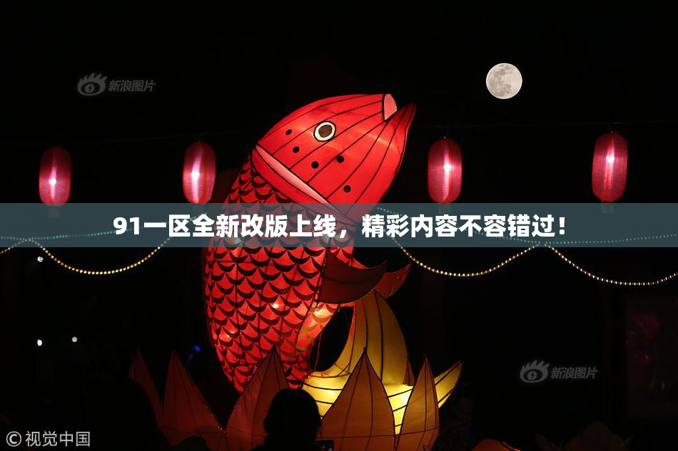 91一区全新改版上线，精彩内容不容错过！