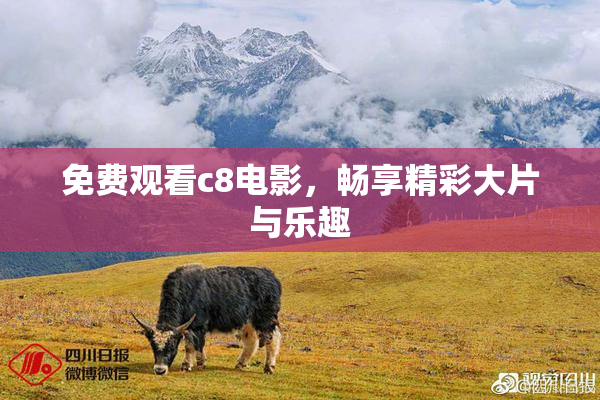免费观看c8电影，畅享精彩大片与乐趣