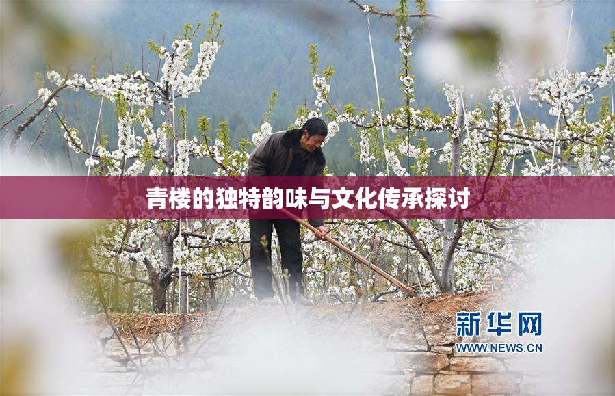 青楼的独特韵味与文化传承探讨
