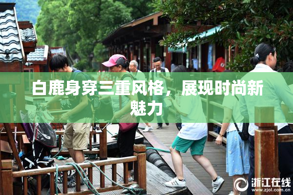 白鹿身穿三重风格，展现时尚新魅力