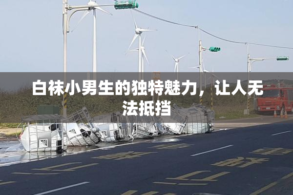 白袜小男生的独特魅力，让人无法抵挡