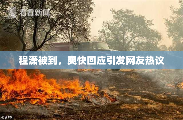 程潇被到，爽快回应引发网友热议