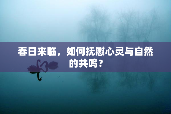 春日来临，如何抚慰心灵与自然的共鸣？
