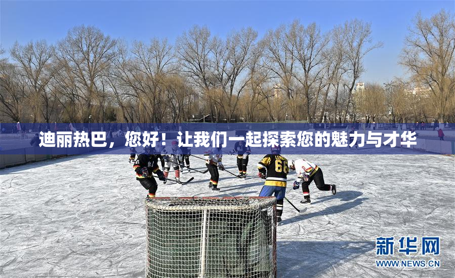 迪丽热巴，您好！让我们一起探索您的魅力与才华