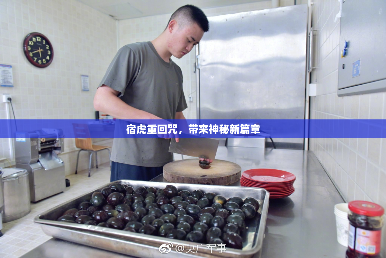 宿虎重回咒，带来神秘新篇章
