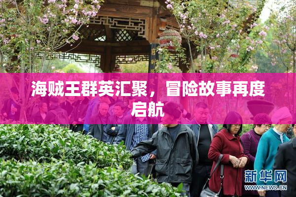海贼王群英汇聚，冒险故事再度启航