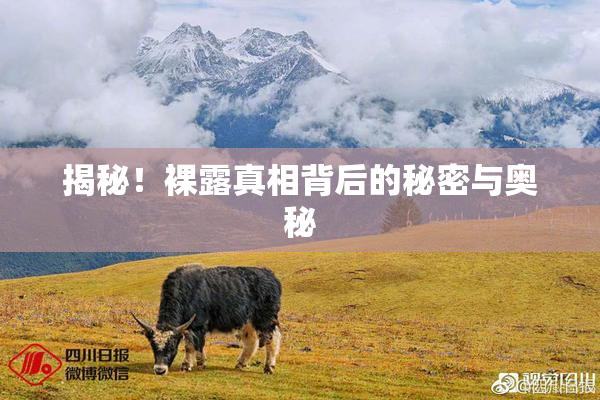 揭秘！裸露真相背后的秘密与奥秘