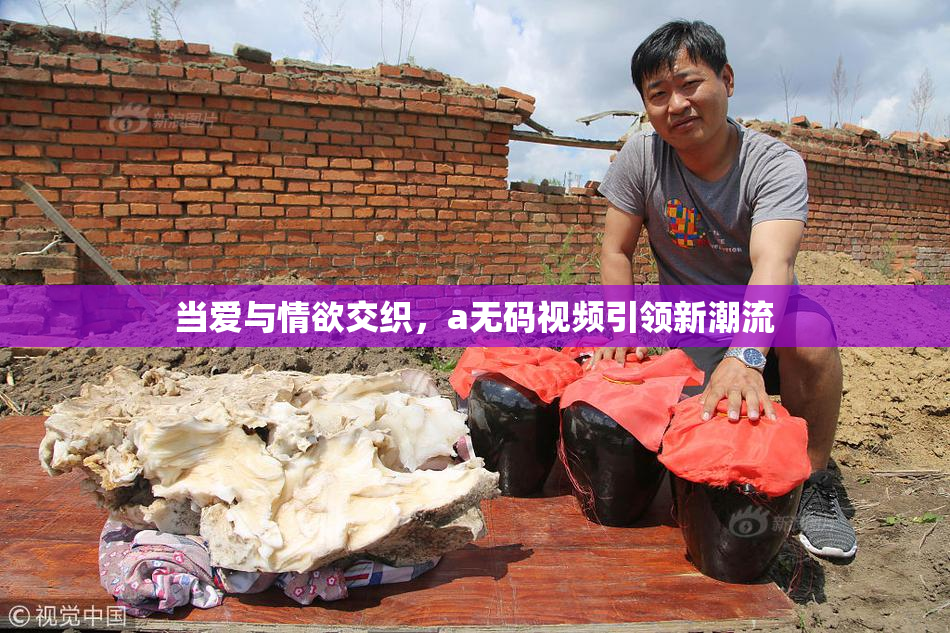 当爱与情欲交织，a无码视频引领新潮流