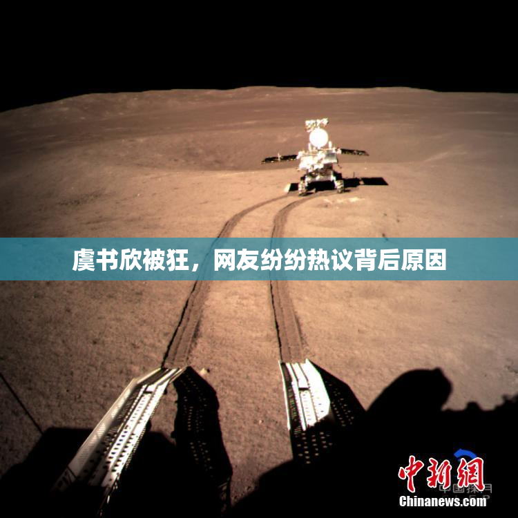虞书欣被狂，网友纷纷热议背后原因