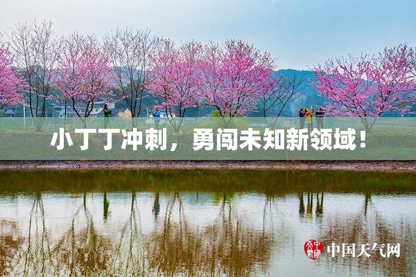 小丁丁冲刺，勇闯未知新领域！