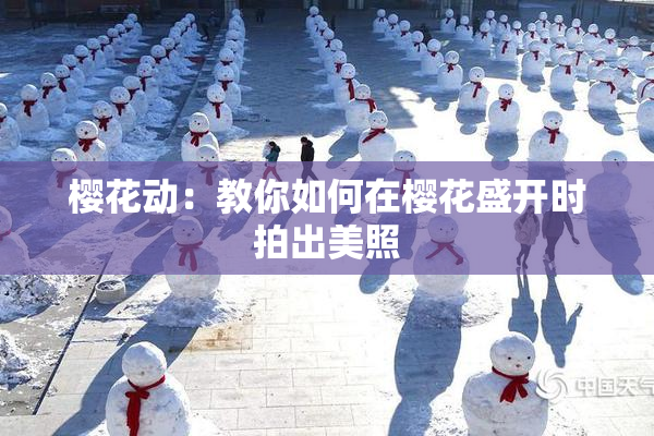 樱花动：教你如何在樱花盛开时拍出美照