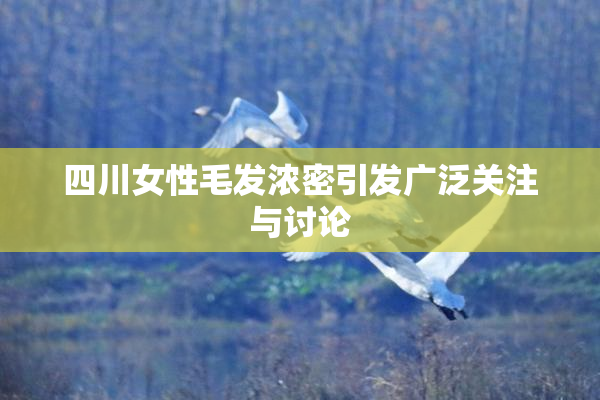 四川女性毛发浓密引发广泛关注与讨论