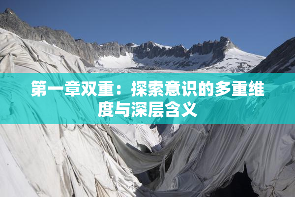 第一章双重：探索意识的多重维度与深层含义
