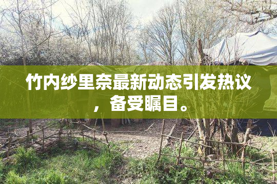 竹内纱里奈最新动态引发热议，备受瞩目。